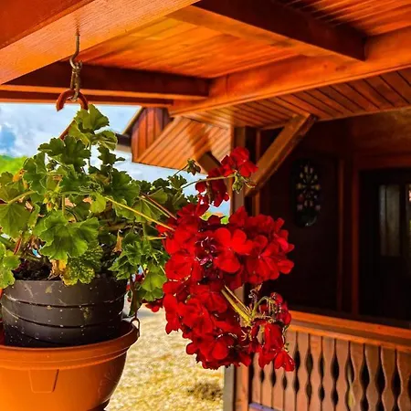 Apartament Bakalovina House *